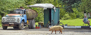 ��� ������� �������� ������. ��� ���������: �� ���� � ������������