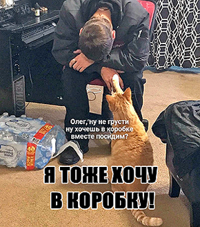 у молодого гражданина России только два пути: окоп или тюрьма