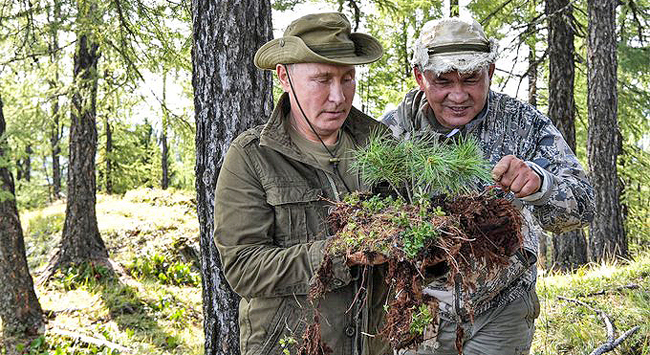 ������������� ��������� ������ �� �������� � ����