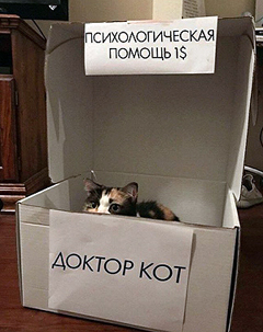 ���� �� ���� ����� ���� �� ������ ���, ��� ������ ����� ��� �����, �� ���� ���� ����� �� �� ����