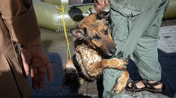 На СВО случилась первая экологическая катастрофа