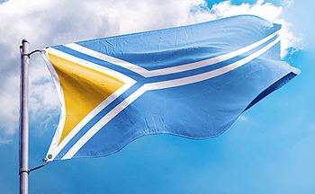 Флаг Тувы пора переосмыслить!