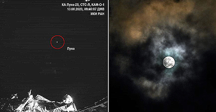 ������ ����