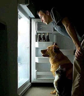 ��� ����� � ������������ ������������ � ������������ ��������� �����