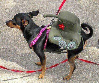 �������: ������� ������ ���� ������ � ����, �� �� ������� ������� ��� �������������