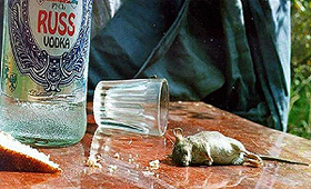 ������������ ��� ������ ������������� �����?