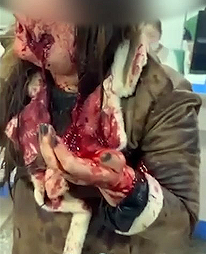 ...����� ���� ��������� �����������, � ����������
������� ����� ������� � �������� ��������� ��������� � �����������. � ��� �����
������� � ������������� �� �������� �����...