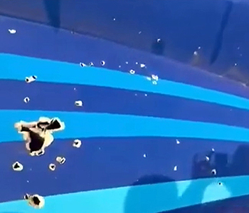 �� ������ �� ����������� �� ���� ����...