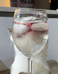 ...����� ����� ��� �������, ������� ������ ���� ������� ������...