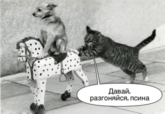 ���������������� �����������. ����� ����� ������ �������� ��������� �� ������� ������!