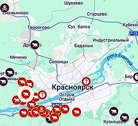 Вести с фронта: Медведи берут в котёл Красноярск!